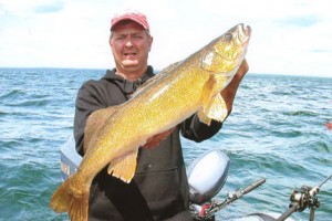 Chris Burns catches a huge Lake Erie walleye.