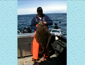 Puget Sound halibut 
