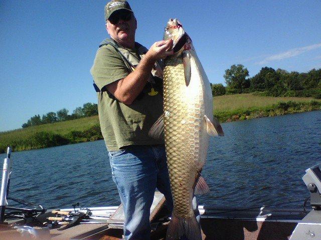 Enormous carp caught on Pleasant Creek.