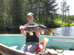 Lake Vermillion trophy walleye.