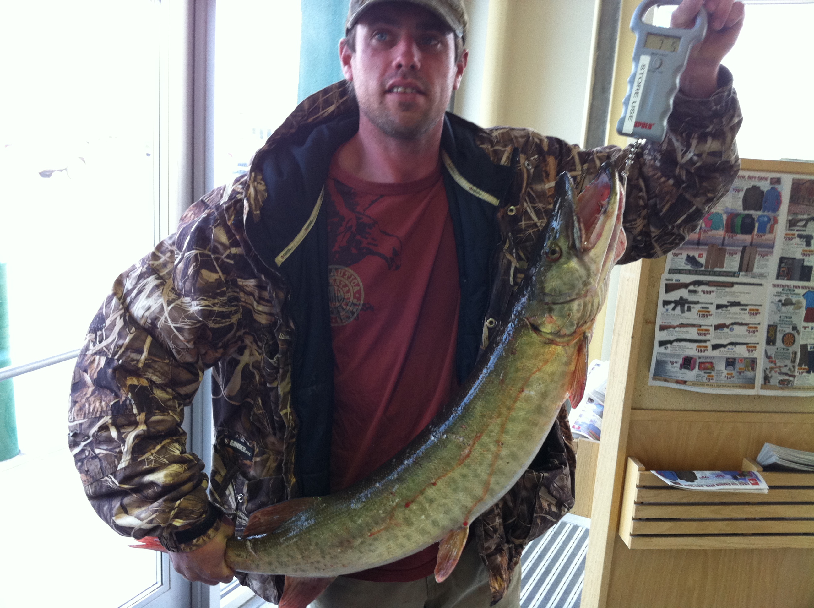 Northern Pike