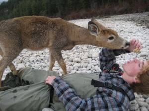 This deer loves granola!