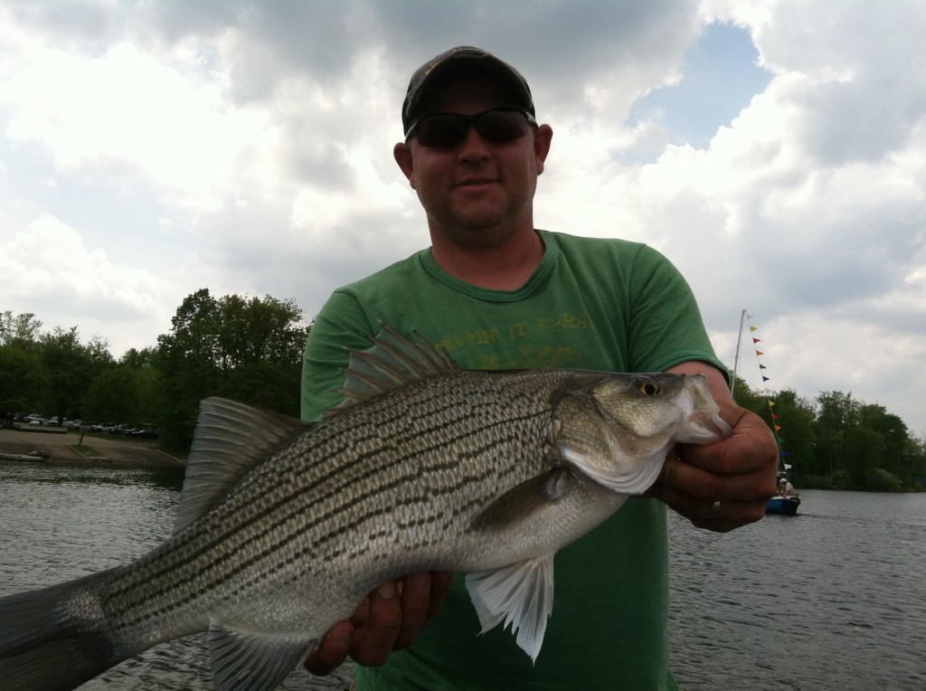 lake macbride wiper striped bass
