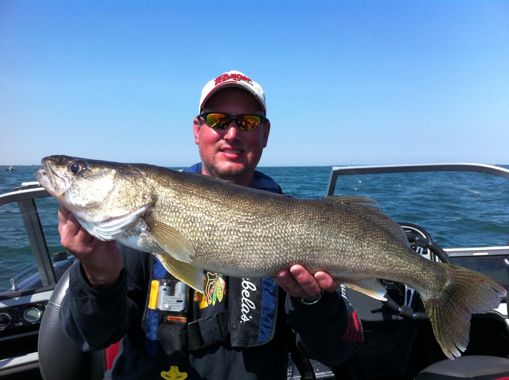We got them good final day at Lake Erie!  Here's Chris Speicher with a healthy 28+ incher!!  Caught and released!!