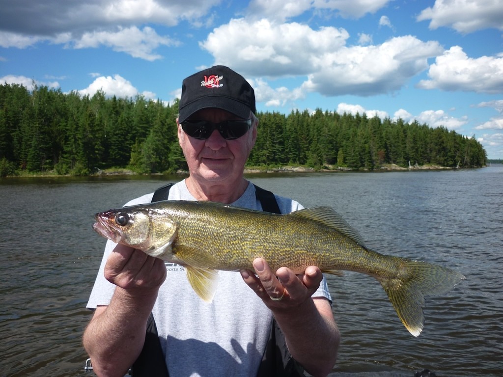 Dave with another nice Lac Seul fish, caught and released to grow bigger!