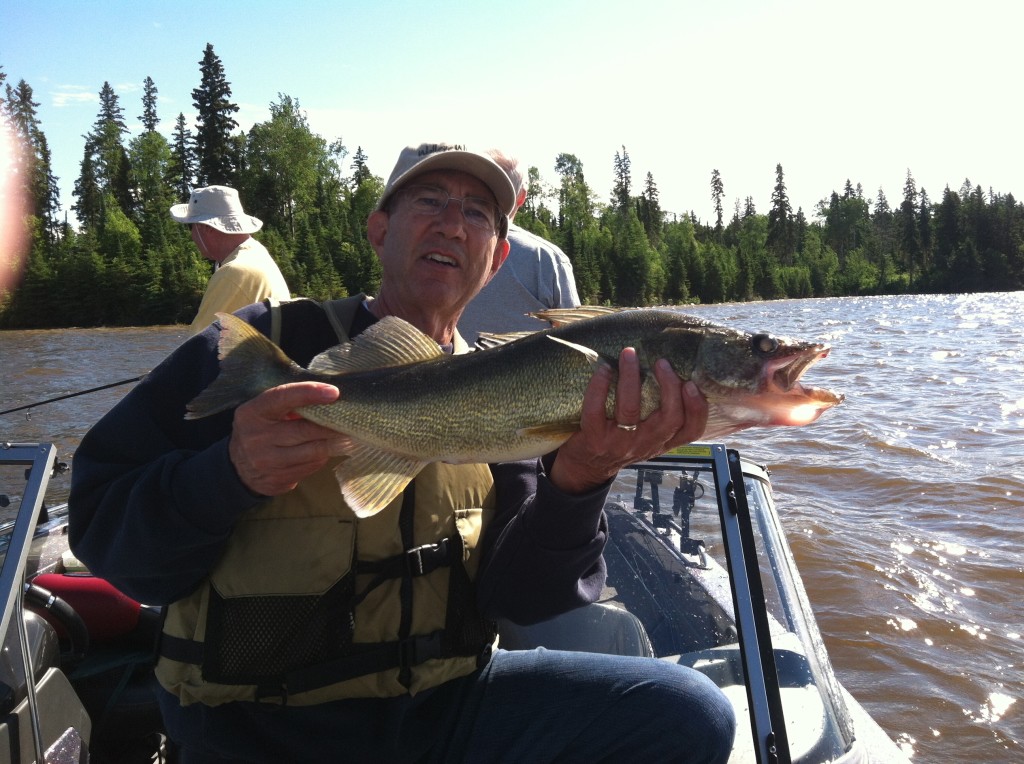 Danny with one of his many walleye caught casting cranks the early part of their week at Lac Seul!