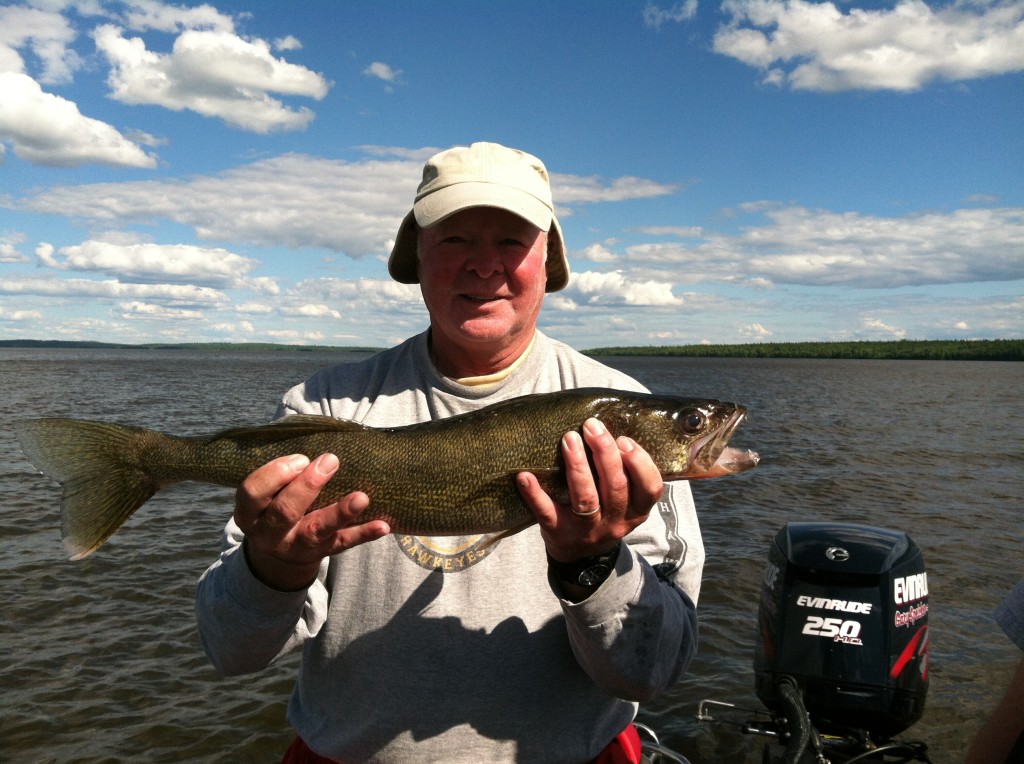 Denny Lensch caught on to the jigging pattern quickly and boated many nice walleyes like this one!