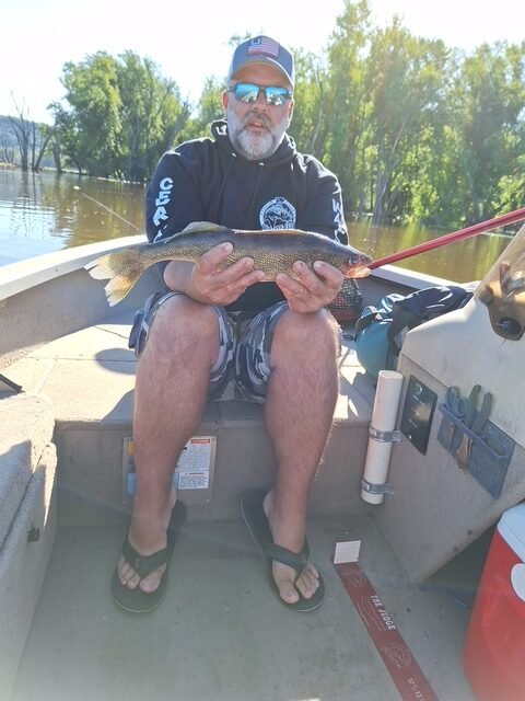 Angler with a Pool 10 river walleye during the tournament (gallery view)