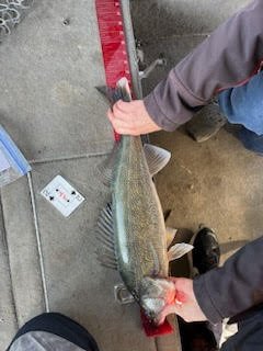 Another view of anglers and boats at Coralville Reservoir (gallery view)