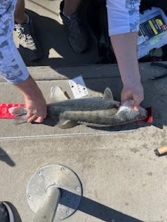 Weigh-in or dockside moment from the Coralville event (gallery view)