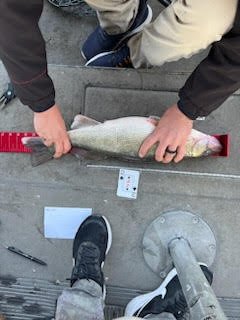 Team photo from the Coralville Reservoir Tournament (gallery view)